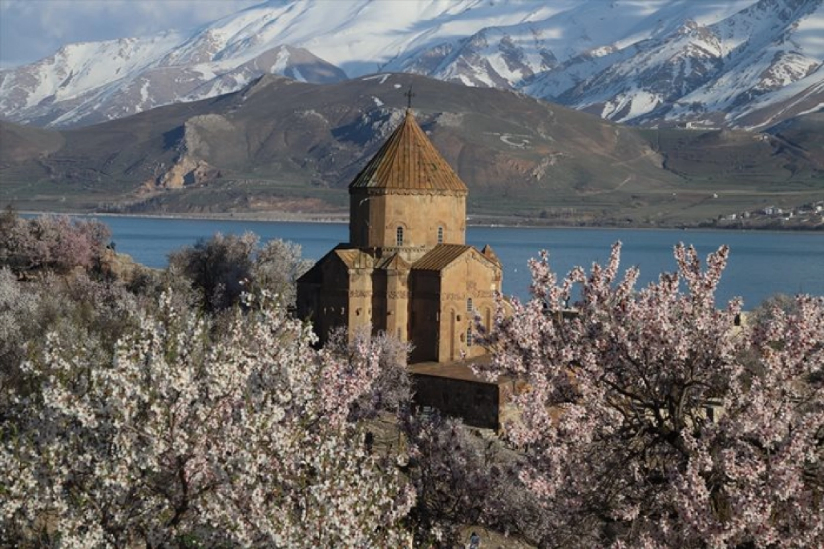 Çiçek açan badem ağaçları Akdamar Adası'nı renklendirdi
