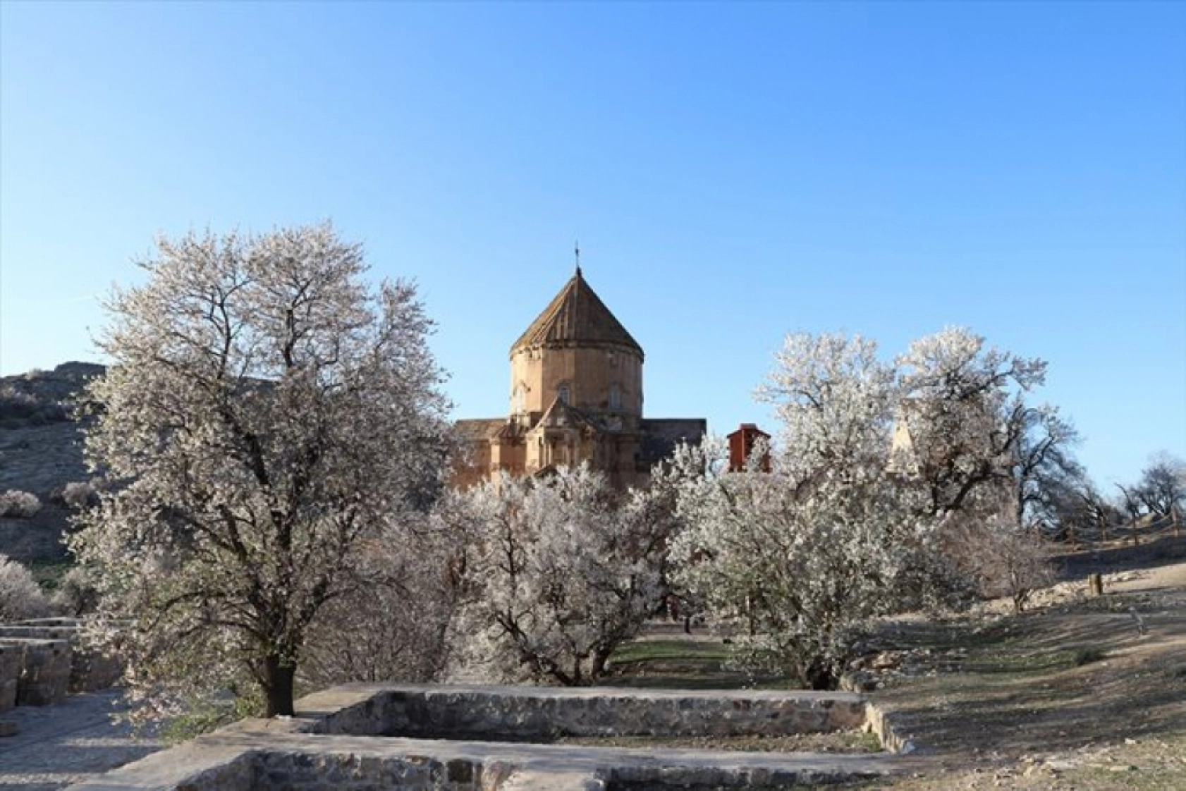 Çiçek açan badem ağaçları Akdamar Adası'nı renklendirdi