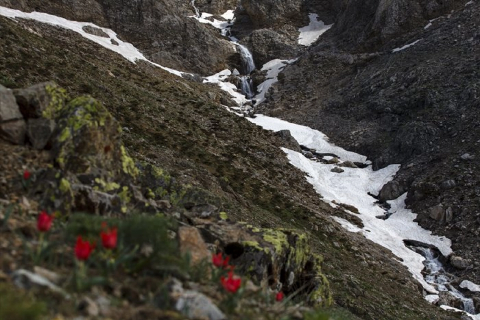 Porga Vadisi doğa tutkunları ve fotoğrafçıların ilgisini çekiyor