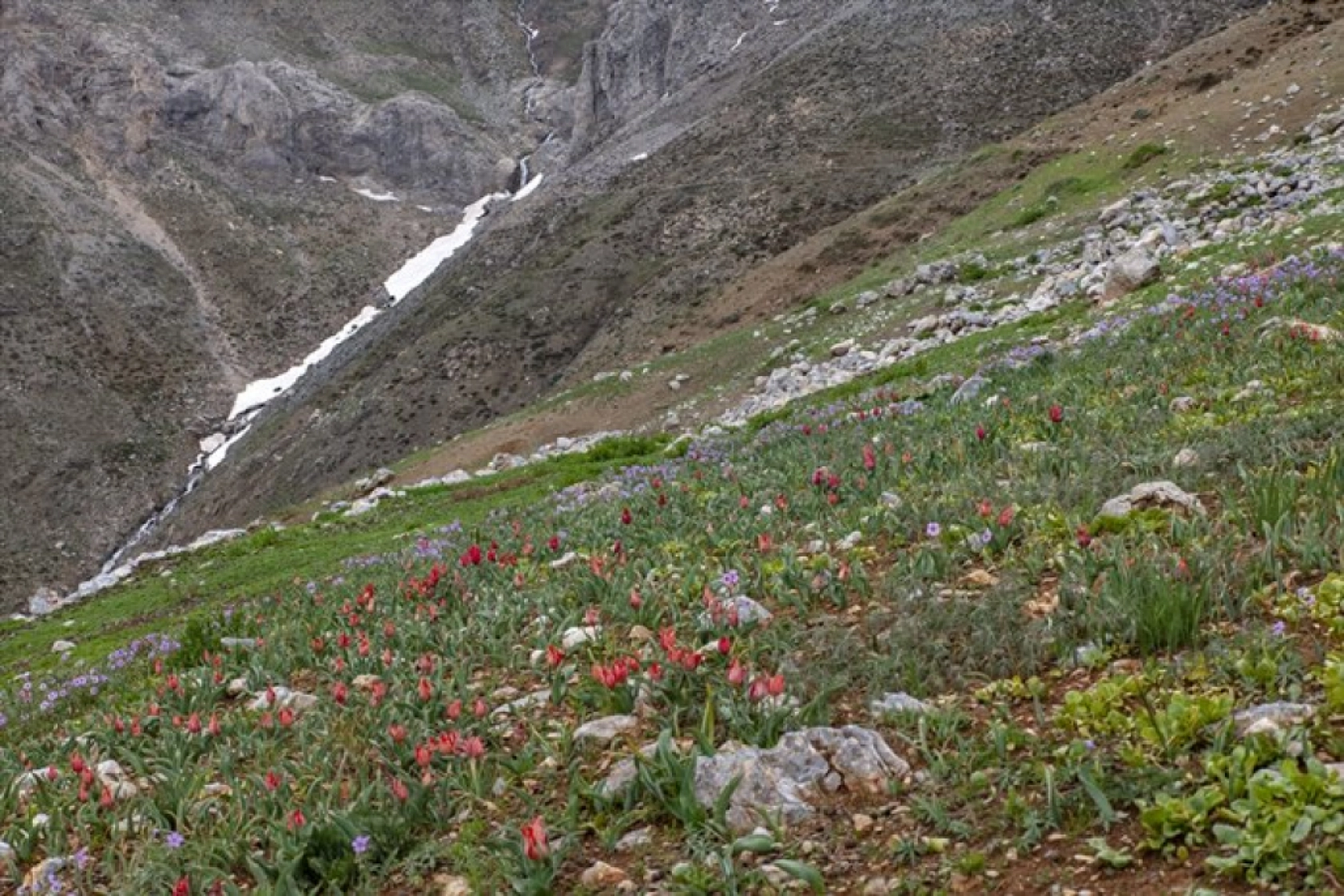 Porga Vadisi doğa tutkunları ve fotoğrafçıların ilgisini çekiyor