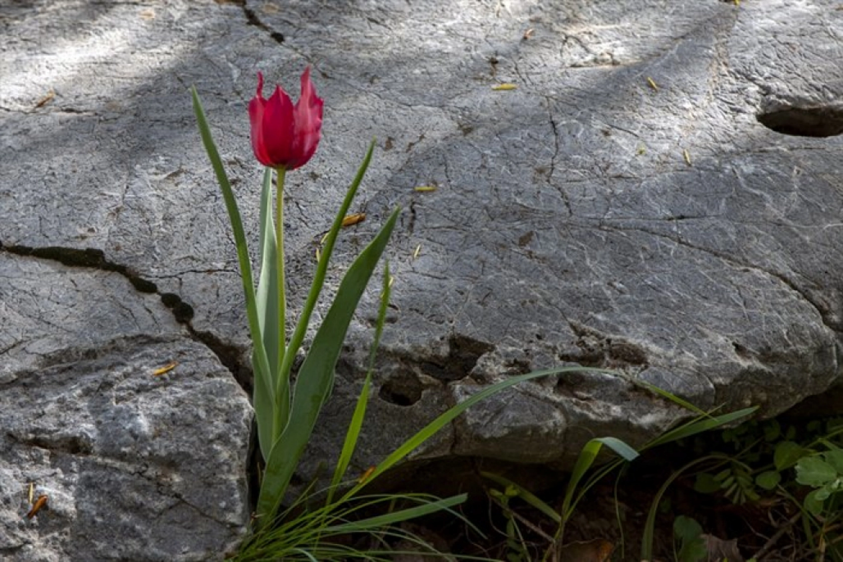 Porga Vadisi doğa tutkunları ve fotoğrafçıların ilgisini çekiyor