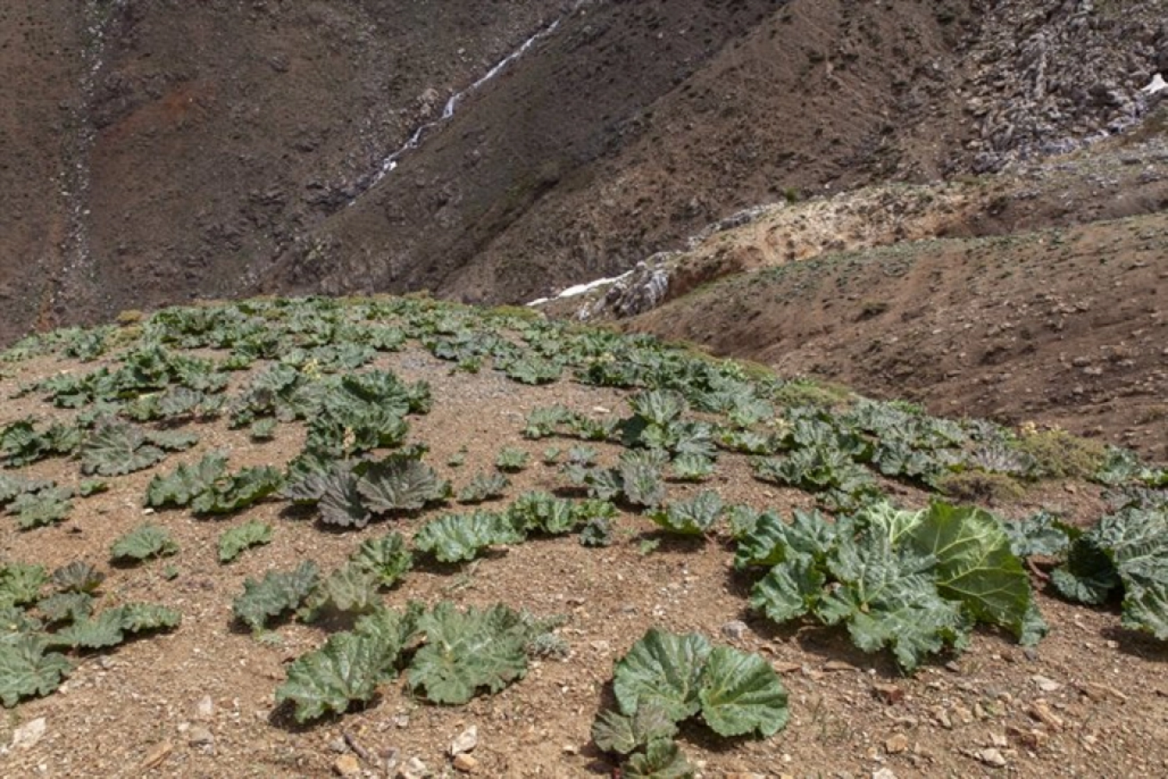 Porga Vadisi doğa tutkunları ve fotoğrafçıların ilgisini çekiyor