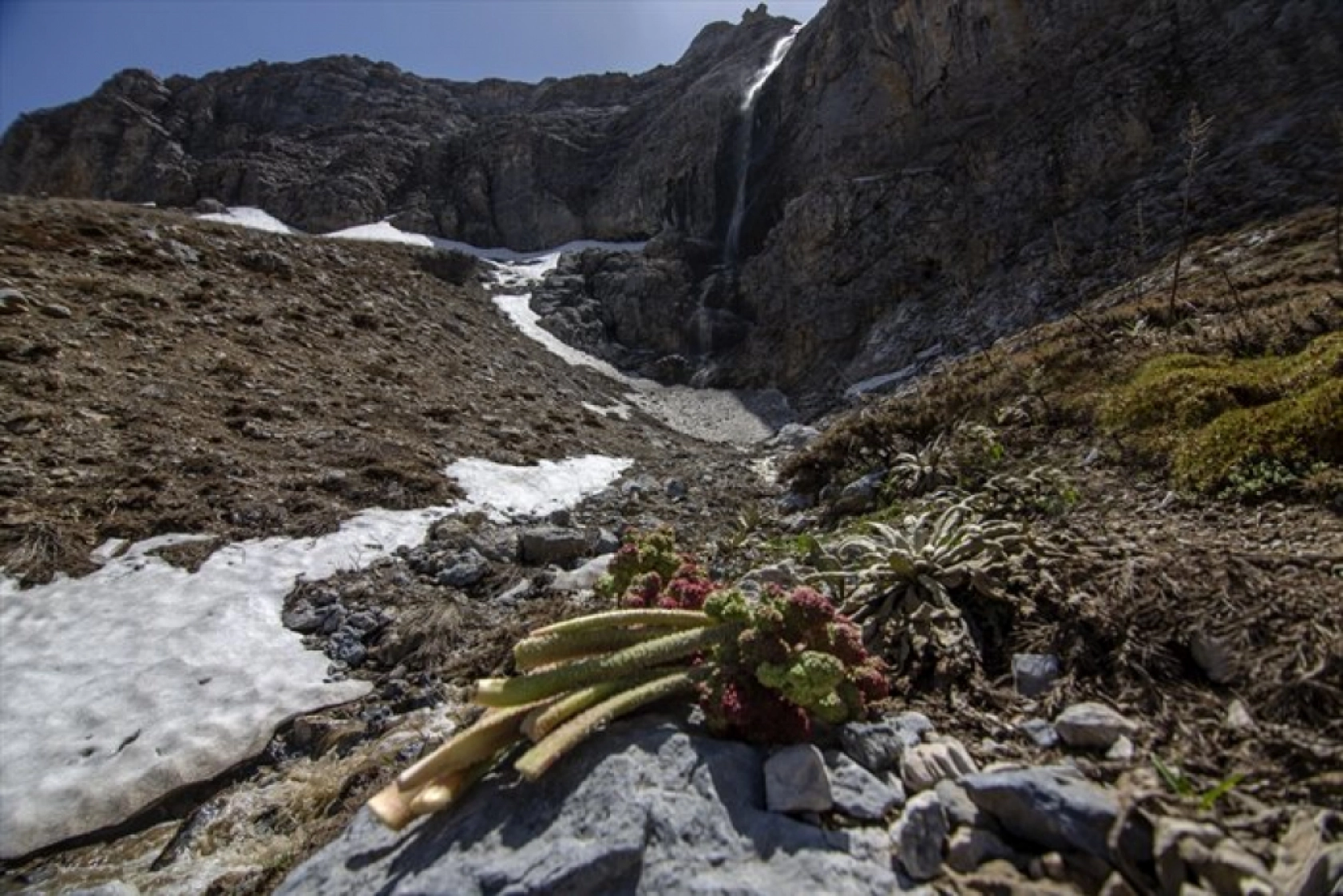 Porga Vadisi doğa tutkunları ve fotoğrafçıların ilgisini çekiyor