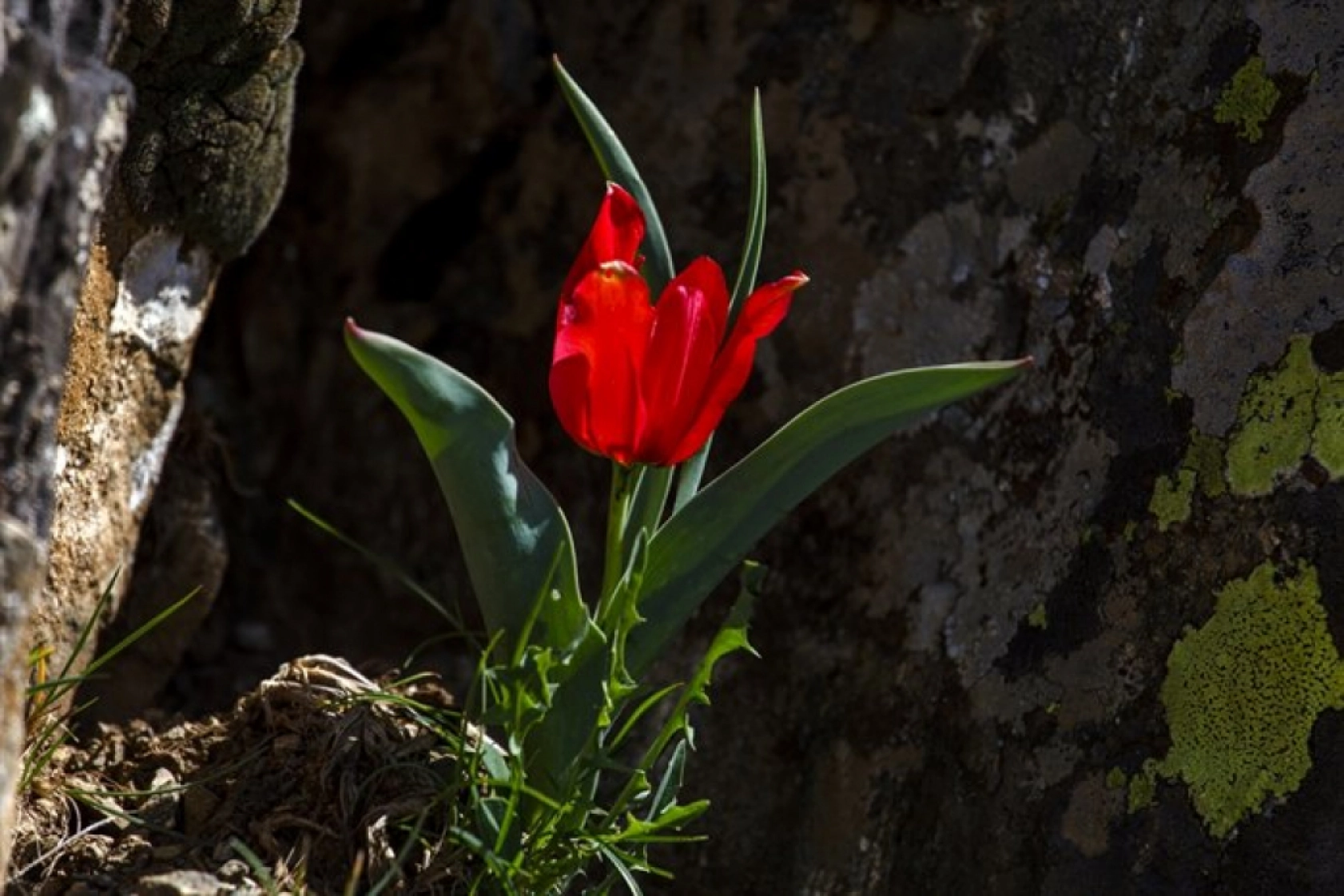 Porga Vadisi doğa tutkunları ve fotoğrafçıların ilgisini çekiyor