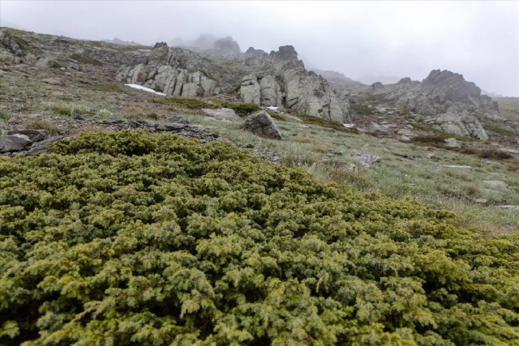 Sivas / Malatya (Dron) - Yama Dağı Yaylası