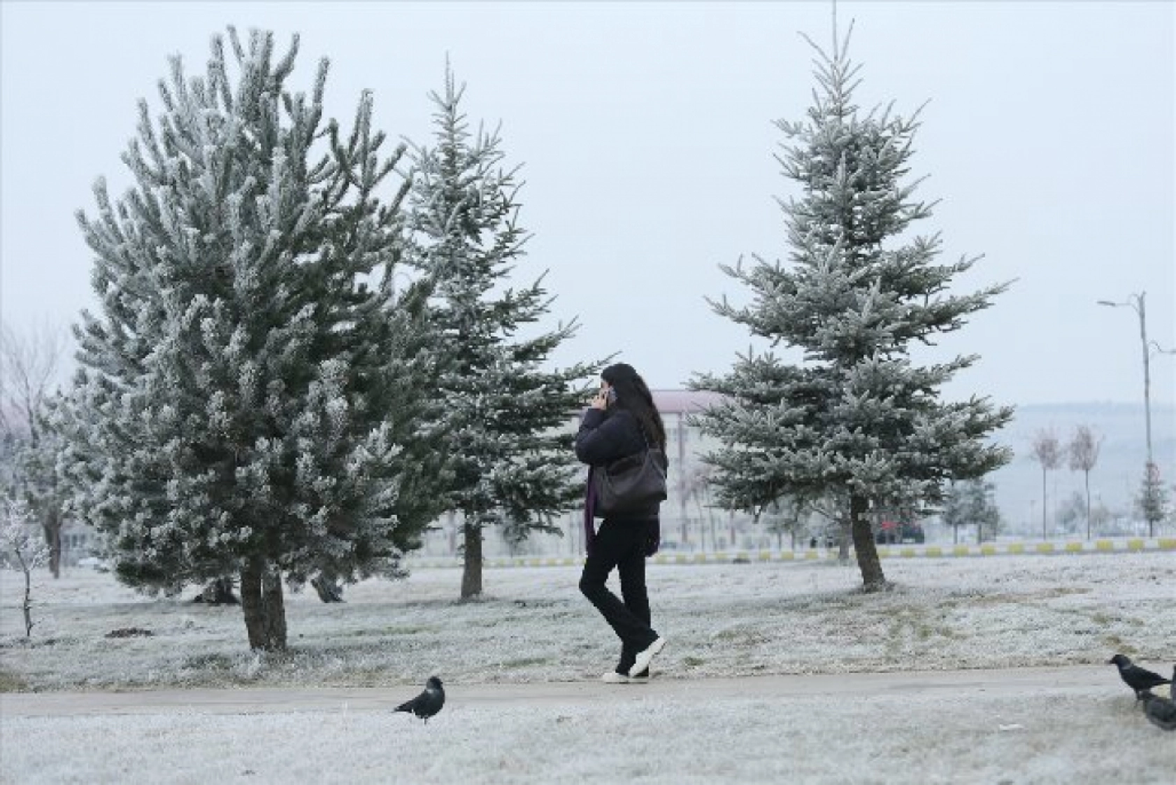 Soğuk hava yaşamı olumsuz etkiliyor