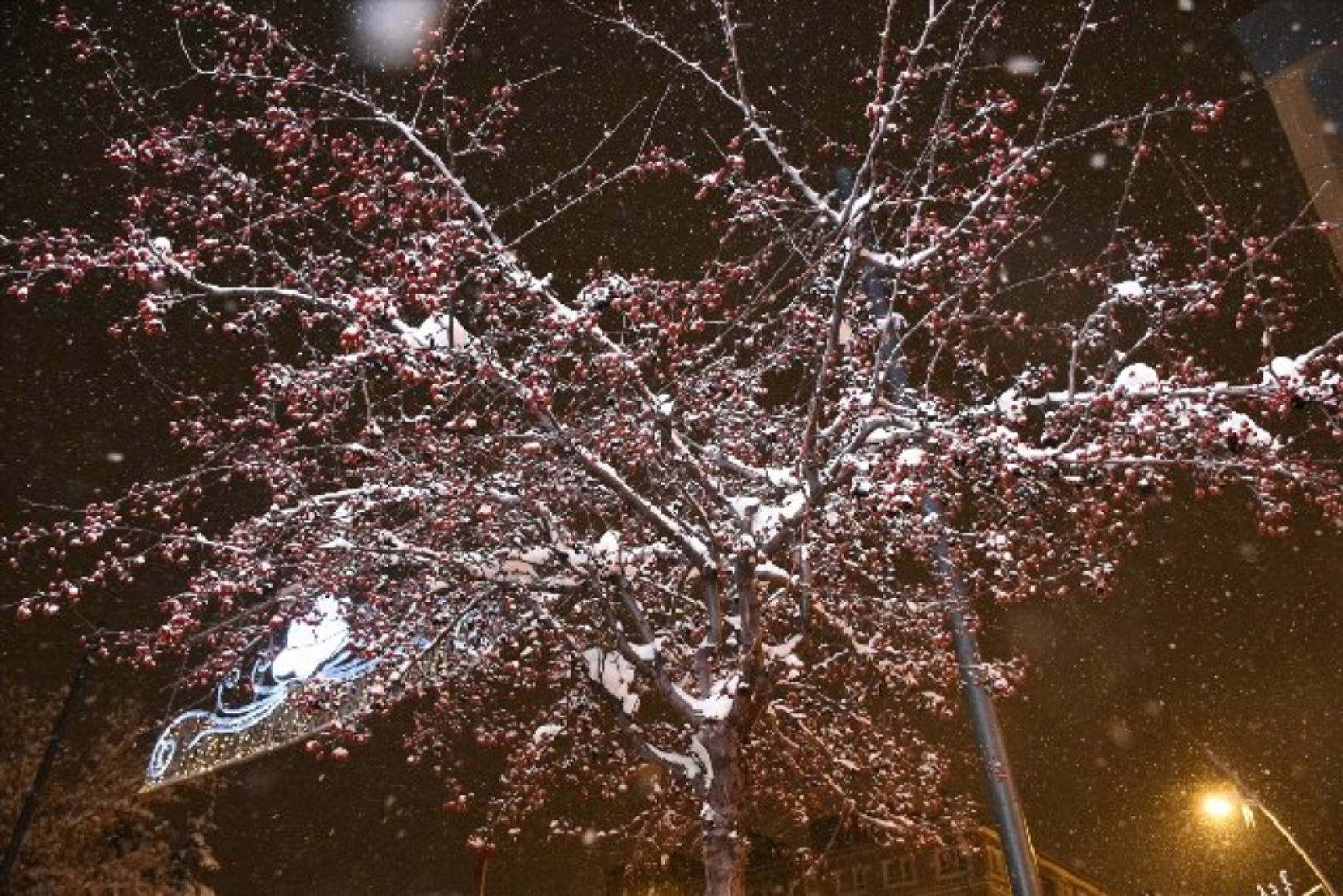 Erzurum'da kar yağışı etkisini sürdürüyor