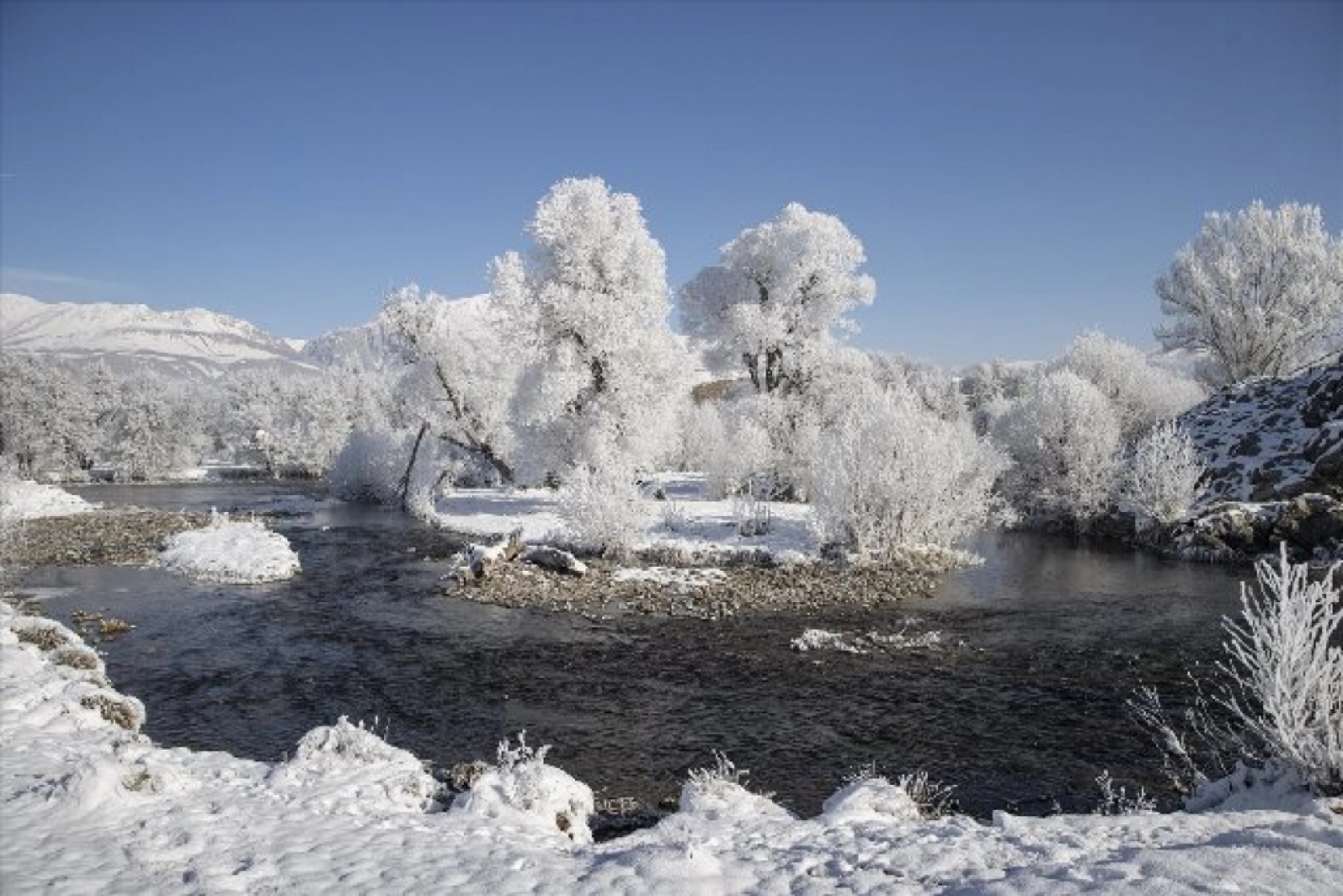 Kırağı tutan ağaçlar karla kaplı Munzur Vadisi Milli Parkı'na güzellik kattı