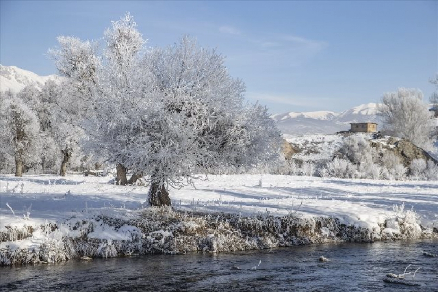 Kırağı tutan ağaçlar karla kaplı Munzur Vadisi Milli Parkı'na güzellik kattı