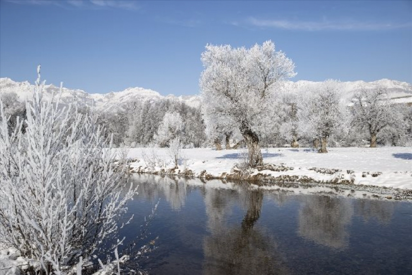 Kırağı tutan ağaçlar karla kaplı Munzur Vadisi Milli Parkı'na güzellik kattı