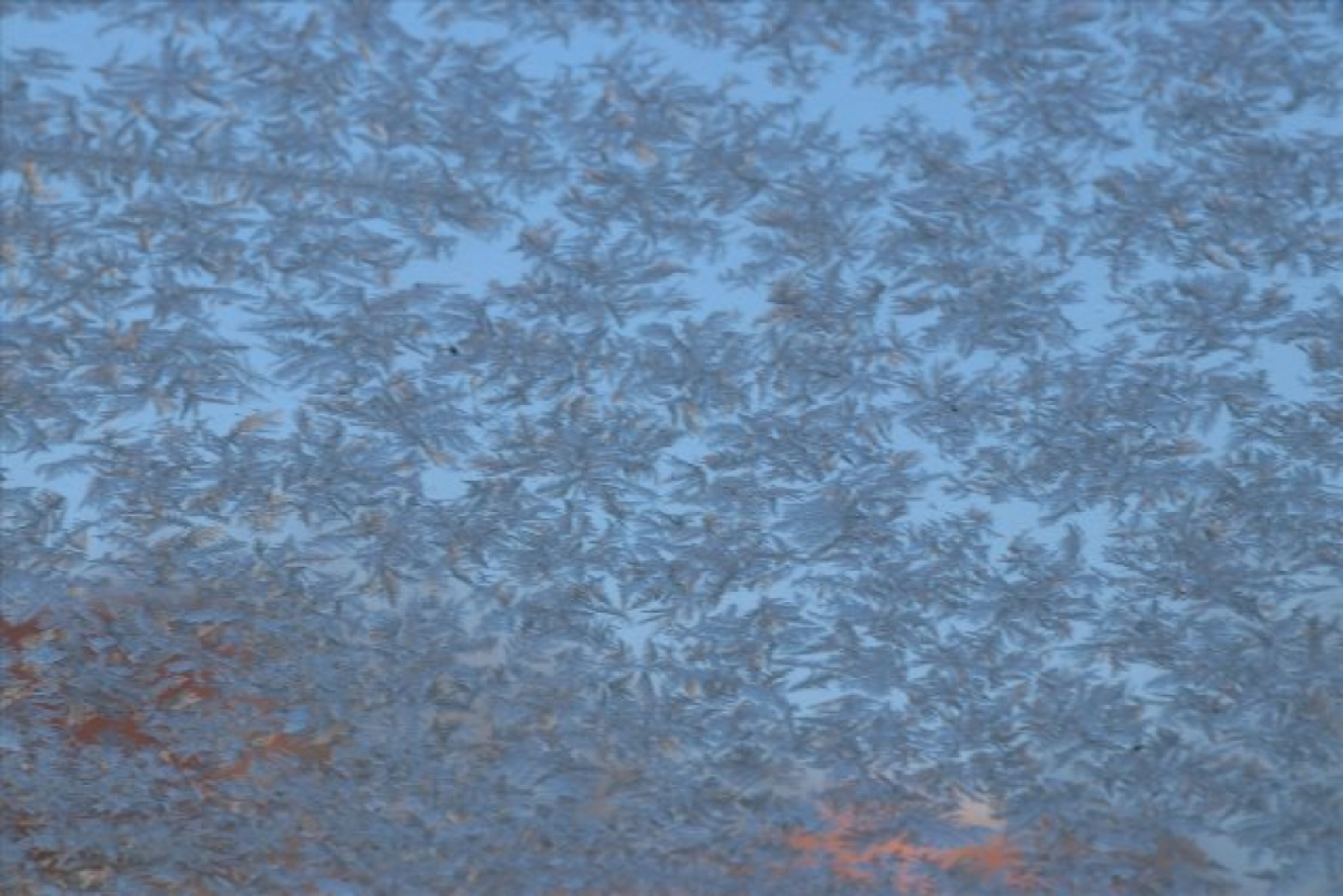 Doğu Anadolu'da göletler dondu, ev, iş yeri ve araçların camları buz tuttu