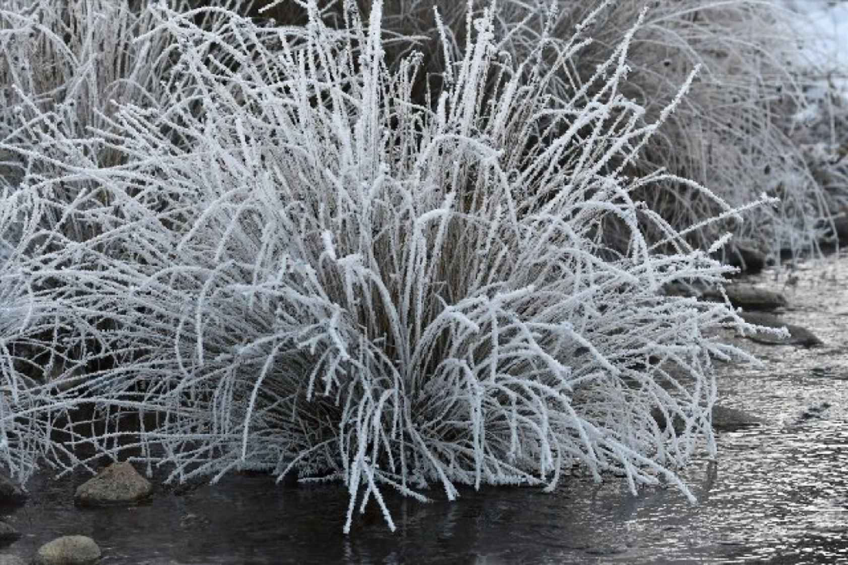 Termometrelerin eksi 22'yi gösterdiği Erzurum gece buz kesti