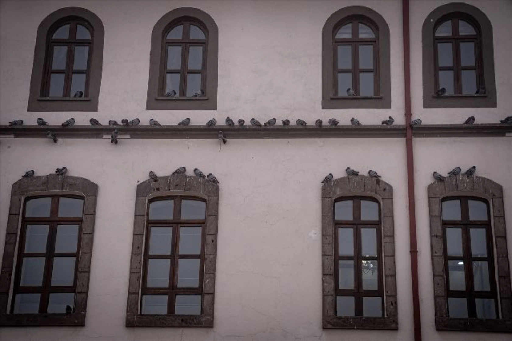 Erzurum, Ağrı, Ardahan ve Kars yeniden beyaza büründü