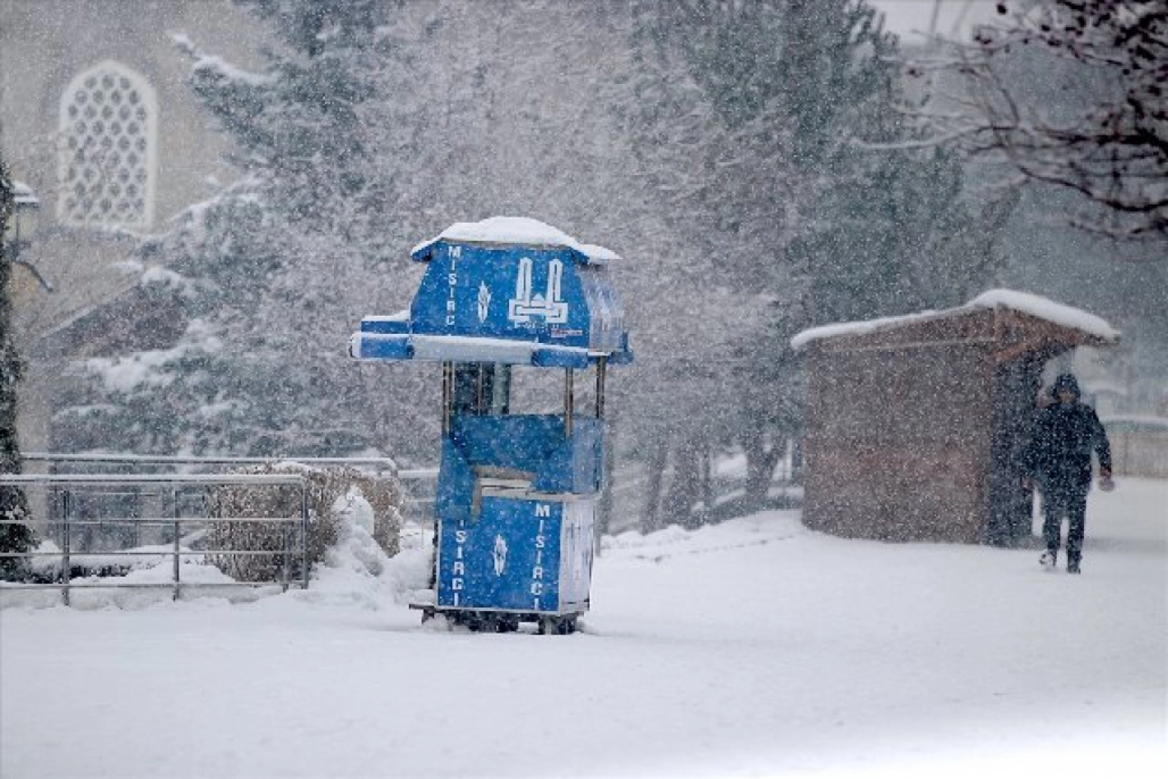 Erzurum'da kar yağışı etkili oluyor