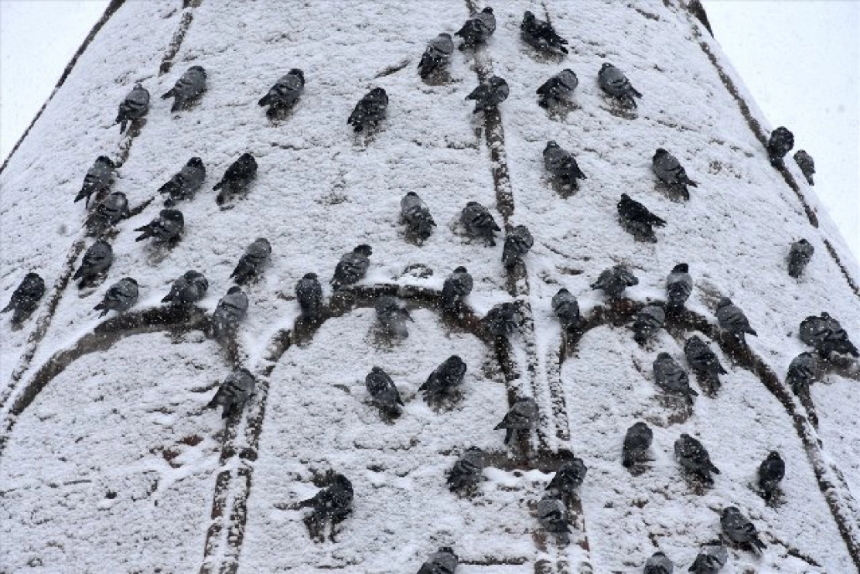 Erzurum'da kar yağışı etkili oluyor