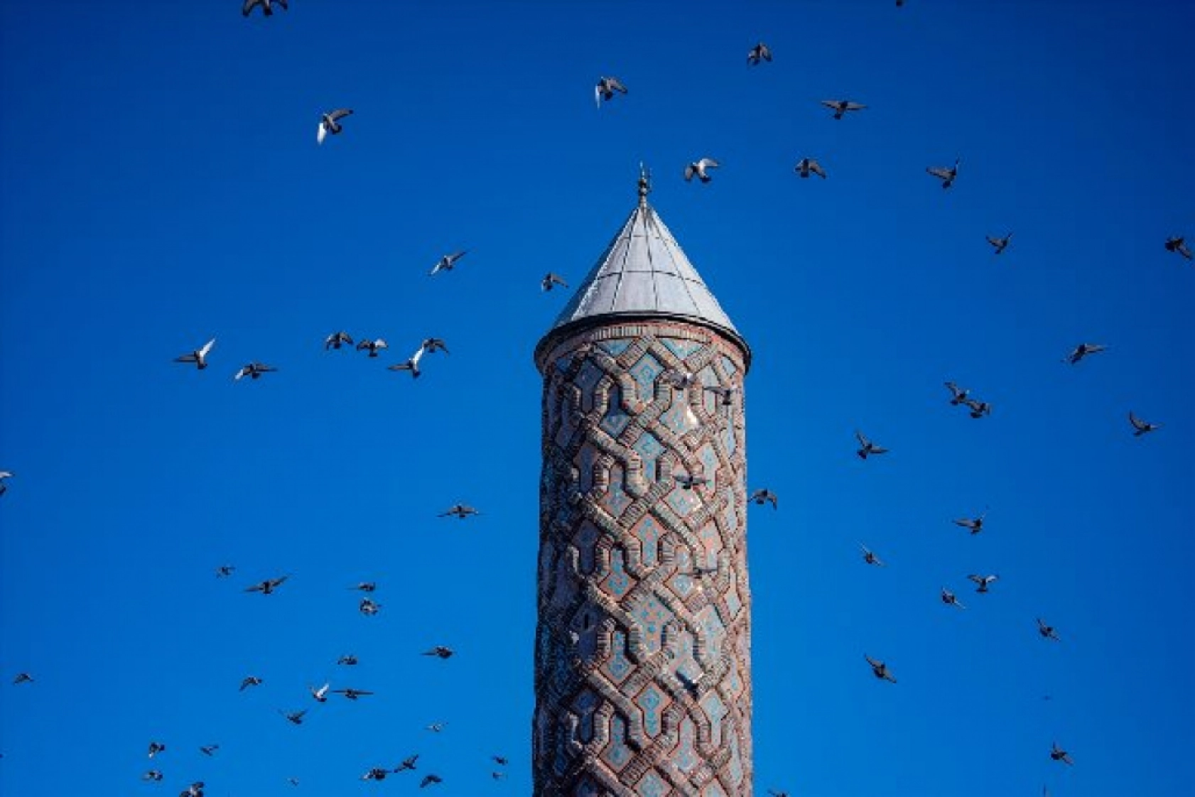 Tarihi mekanların sürekli misafirleri güvercinler