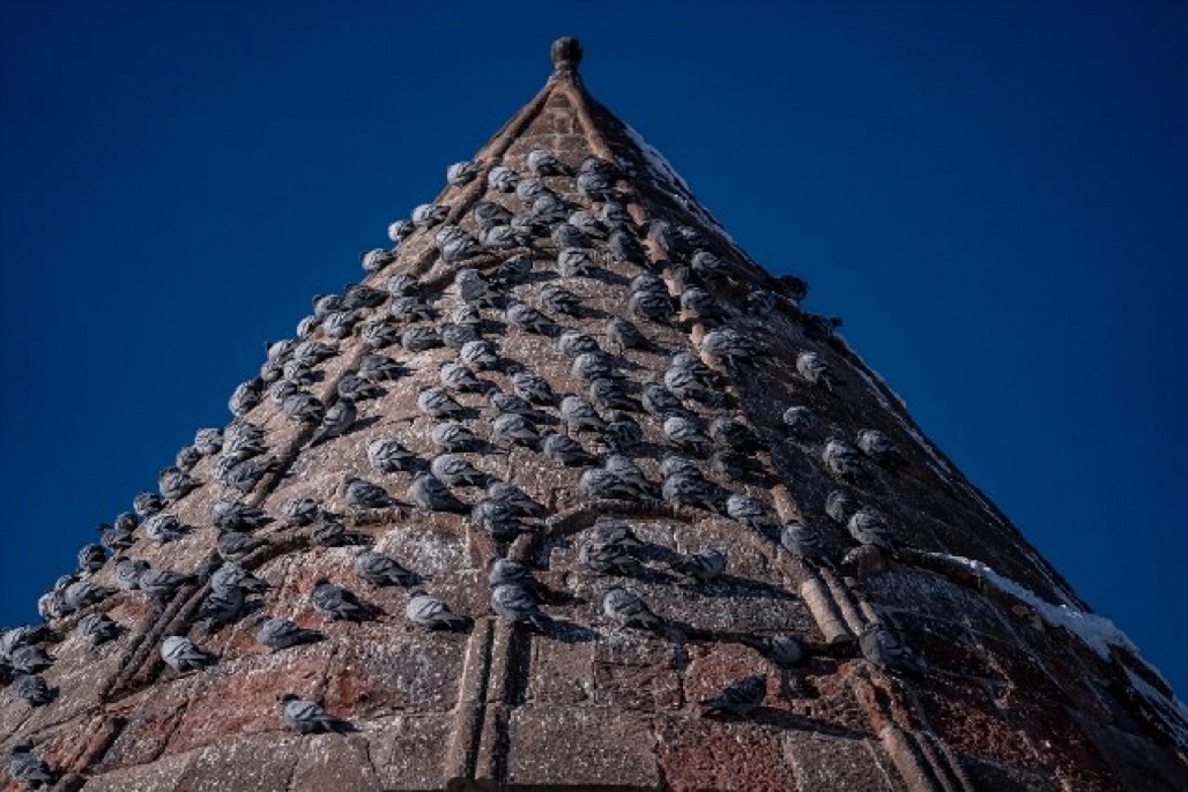 Tarihi mekanların sürekli misafirleri güvercinler