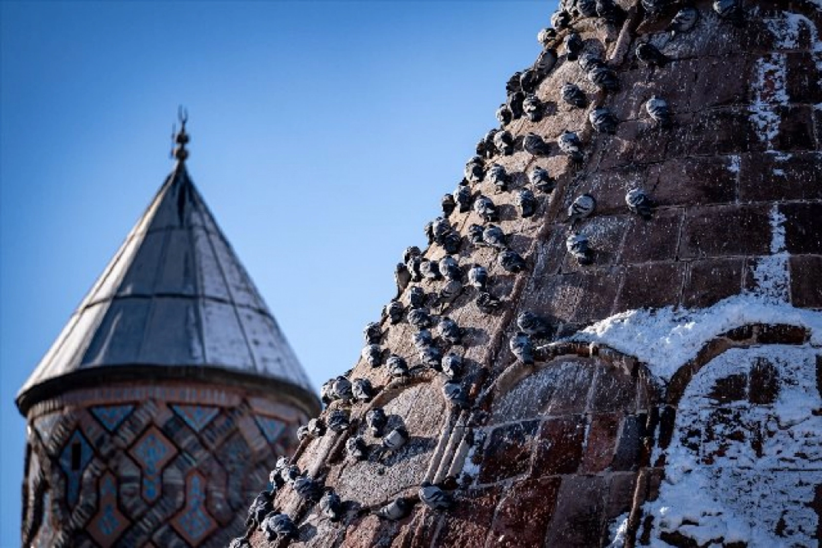 Tarihi mekanların sürekli misafirleri güvercinler