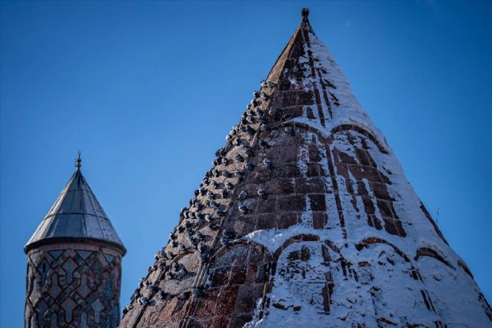 Tarihi mekanların sürekli misafirleri güvercinler