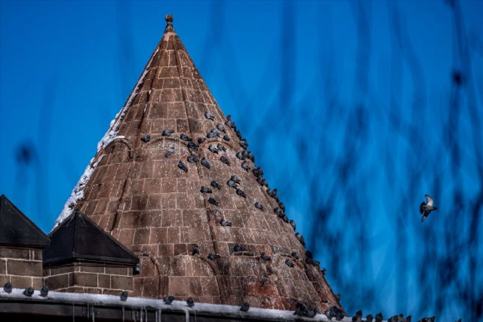 Tarihi mekanların sürekli misafirleri güvercinler