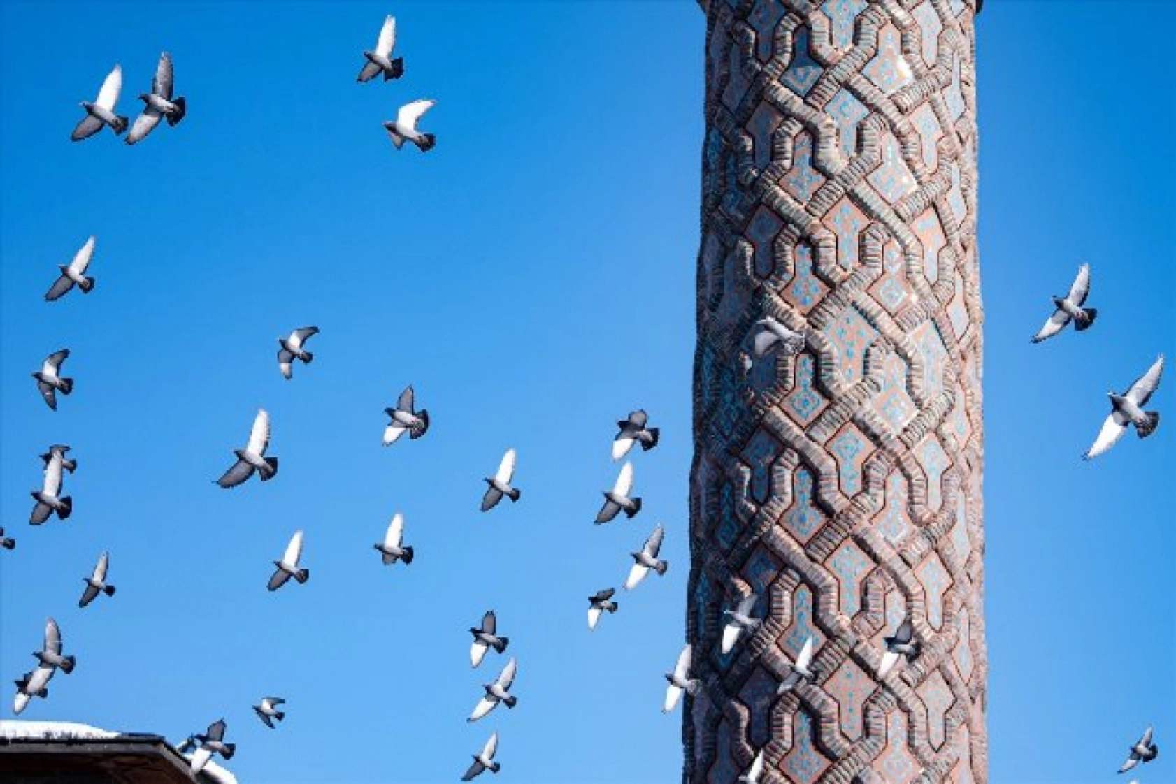 Tarihi mekanların sürekli misafirleri güvercinler