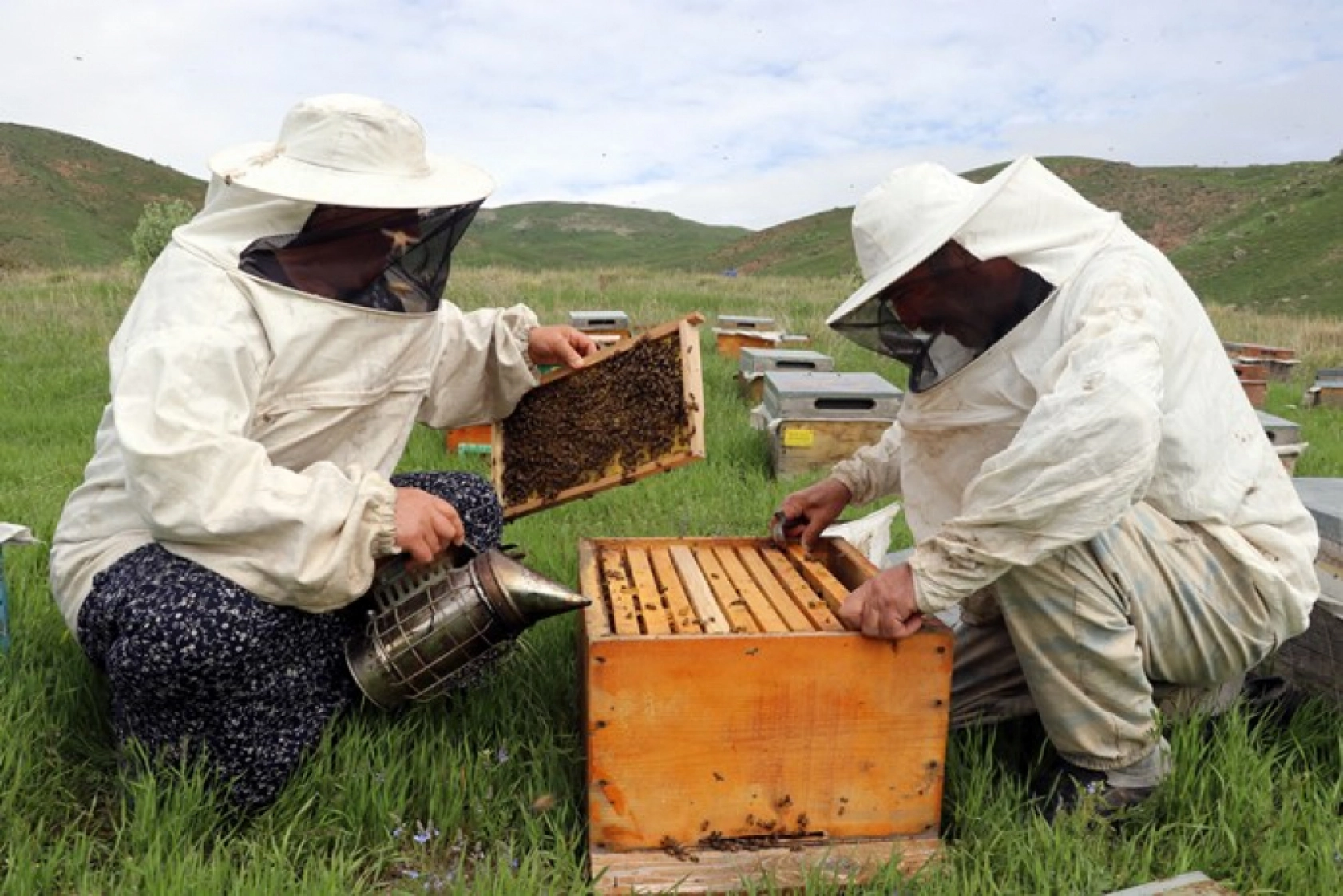 Üç kardeş Ağrı'nın dağlarında omuz omuza bal üretiyor