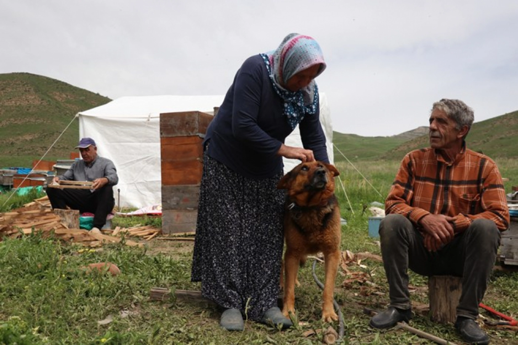 Üç kardeş Ağrı'nın dağlarında omuz omuza bal üretiyor