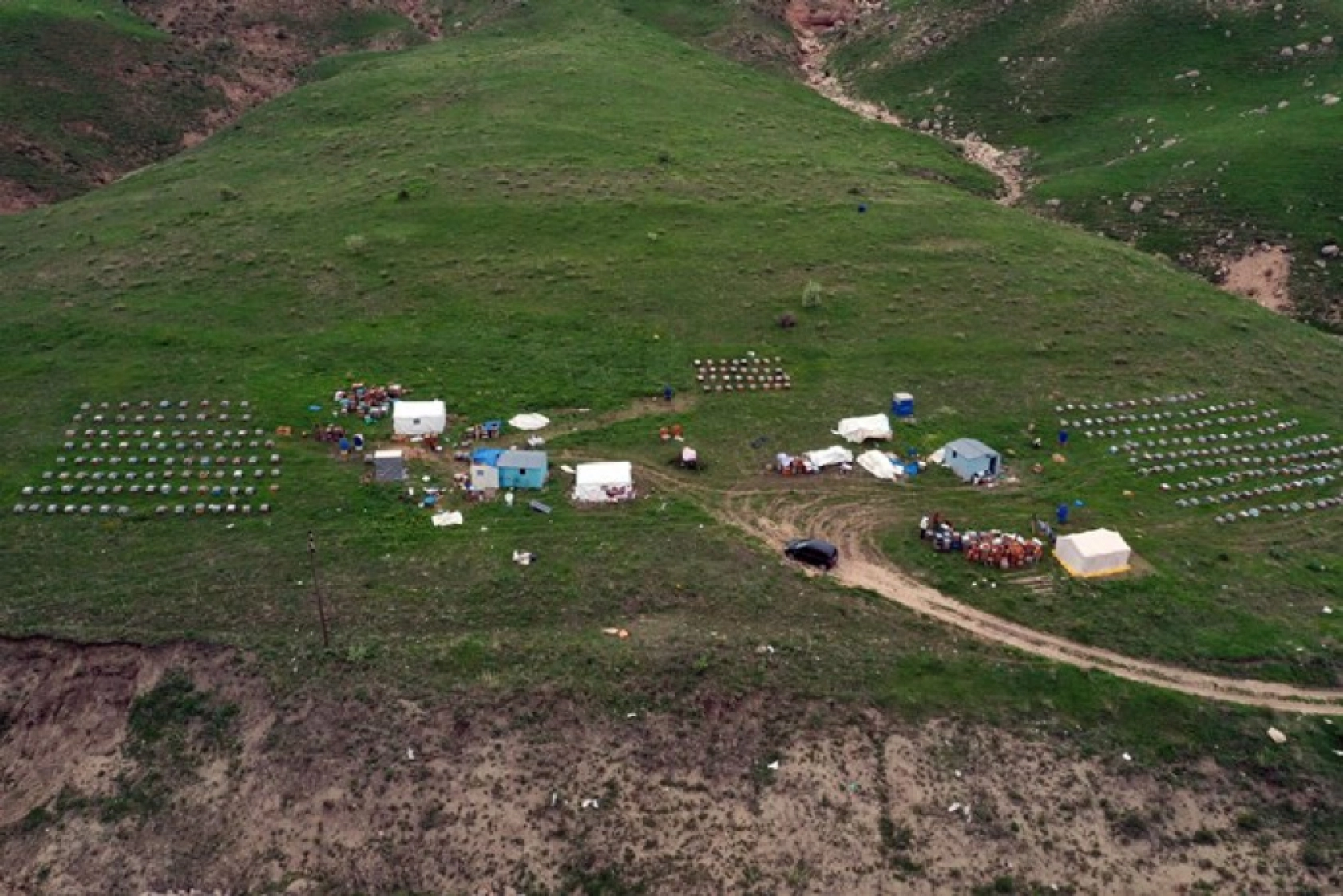 Üç kardeş Ağrı'nın dağlarında omuz omuza bal üretiyor