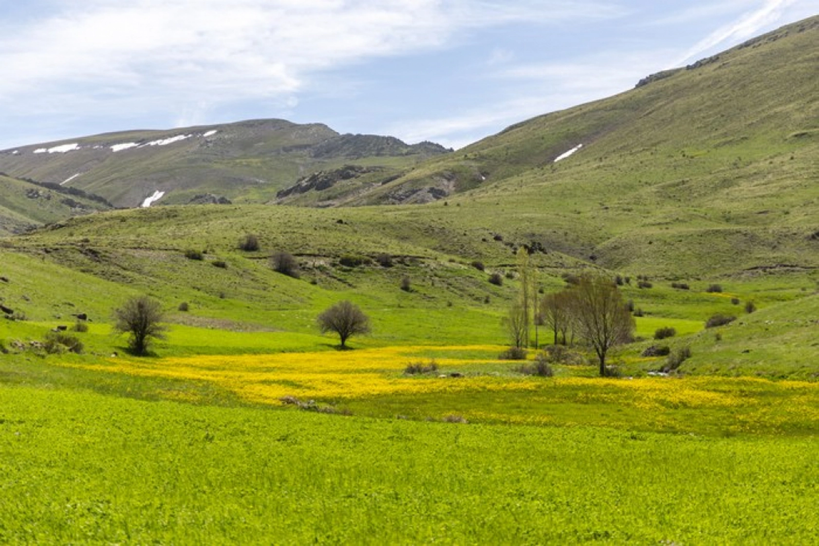 Yılkı atları Yama Dağı'nda özgürce koşuyor