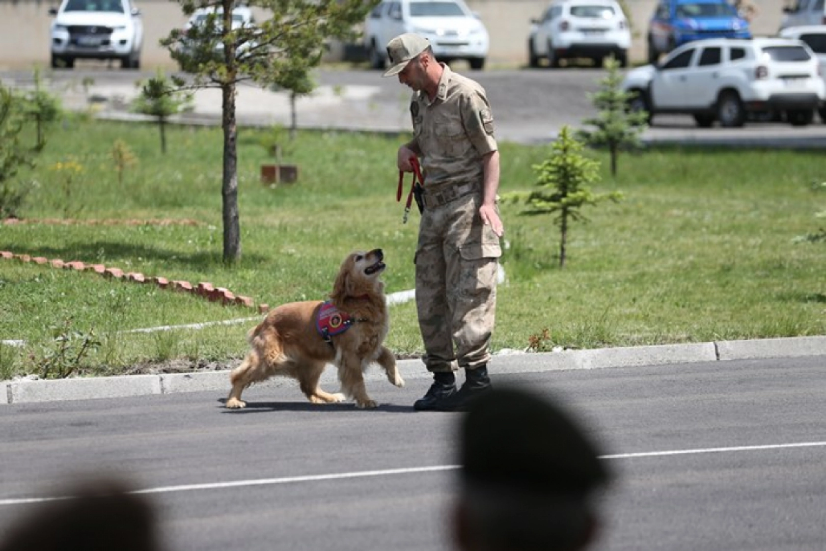 Jandarma Teşkilatının 186. kuruluş yıl dönümü 4 ilde kutlandı
