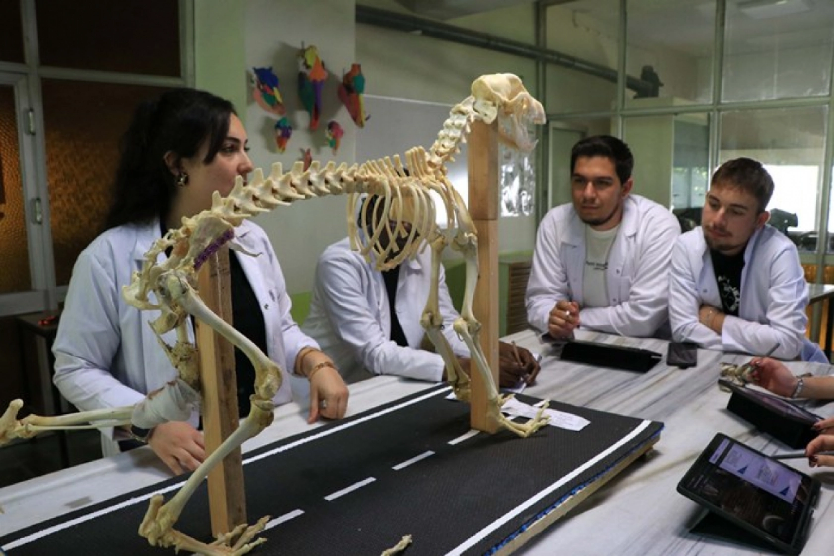 Tarihle Teknoloji Buluştu: Hayvan İskeletleri Yapay Zekâyla Dijitale Taşınıyor