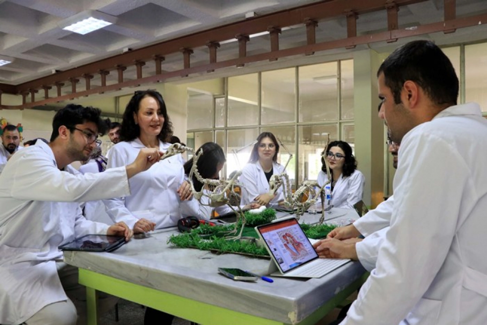 Tarihle Teknoloji Buluştu: Hayvan İskeletleri Yapay Zekâyla Dijitale Taşınıyor