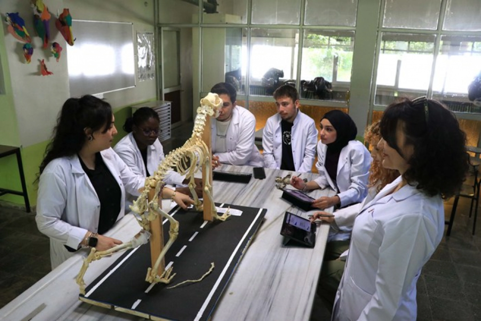 Tarihle Teknoloji Buluştu: Hayvan İskeletleri Yapay Zekâyla Dijitale Taşınıyor