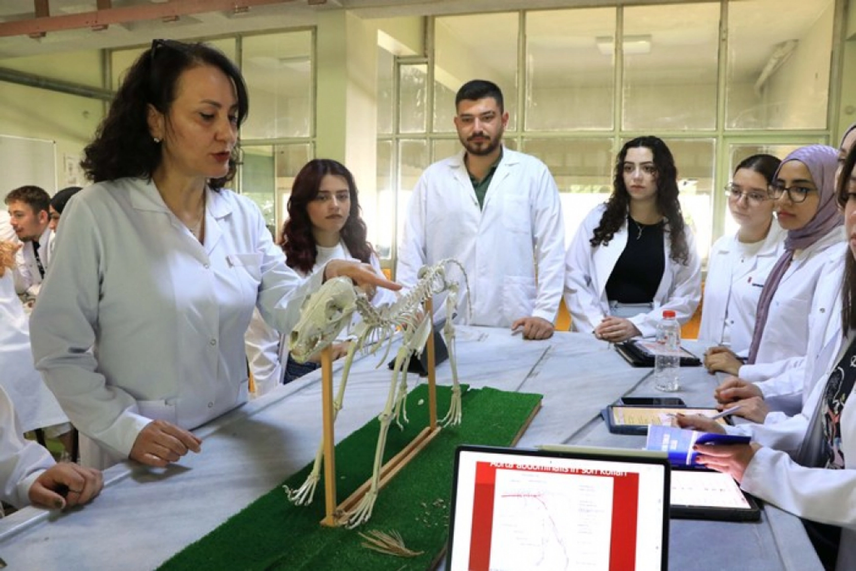 Tarihle Teknoloji Buluştu: Hayvan İskeletleri Yapay Zekâyla Dijitale Taşınıyor