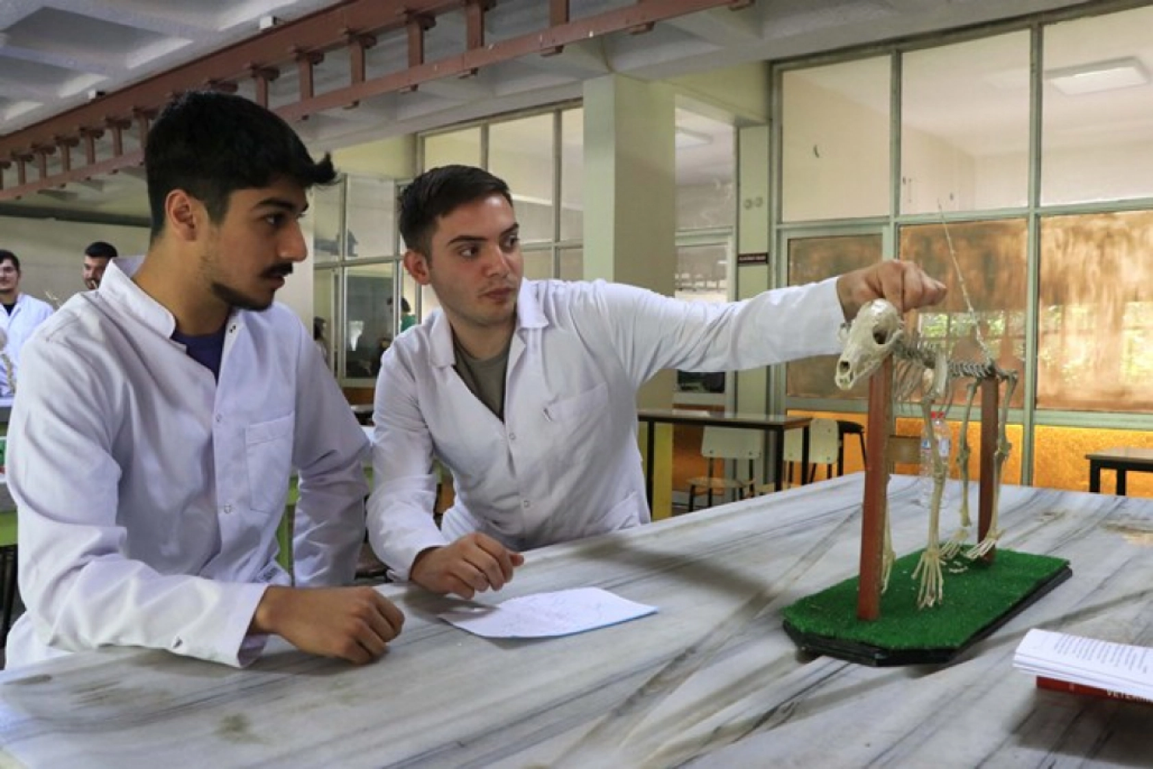 Tarihle Teknoloji Buluştu: Hayvan İskeletleri Yapay Zekâyla Dijitale Taşınıyor