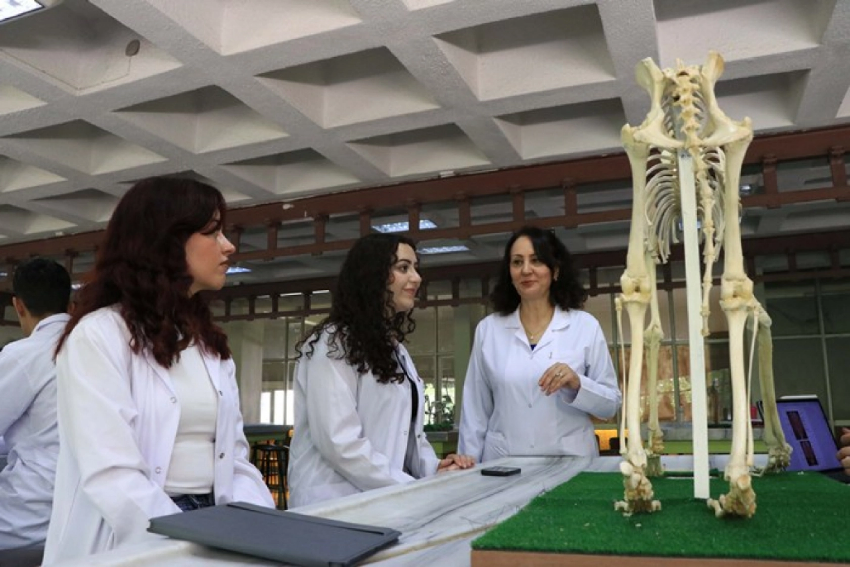 Tarihle Teknoloji Buluştu: Hayvan İskeletleri Yapay Zekâyla Dijitale Taşınıyor