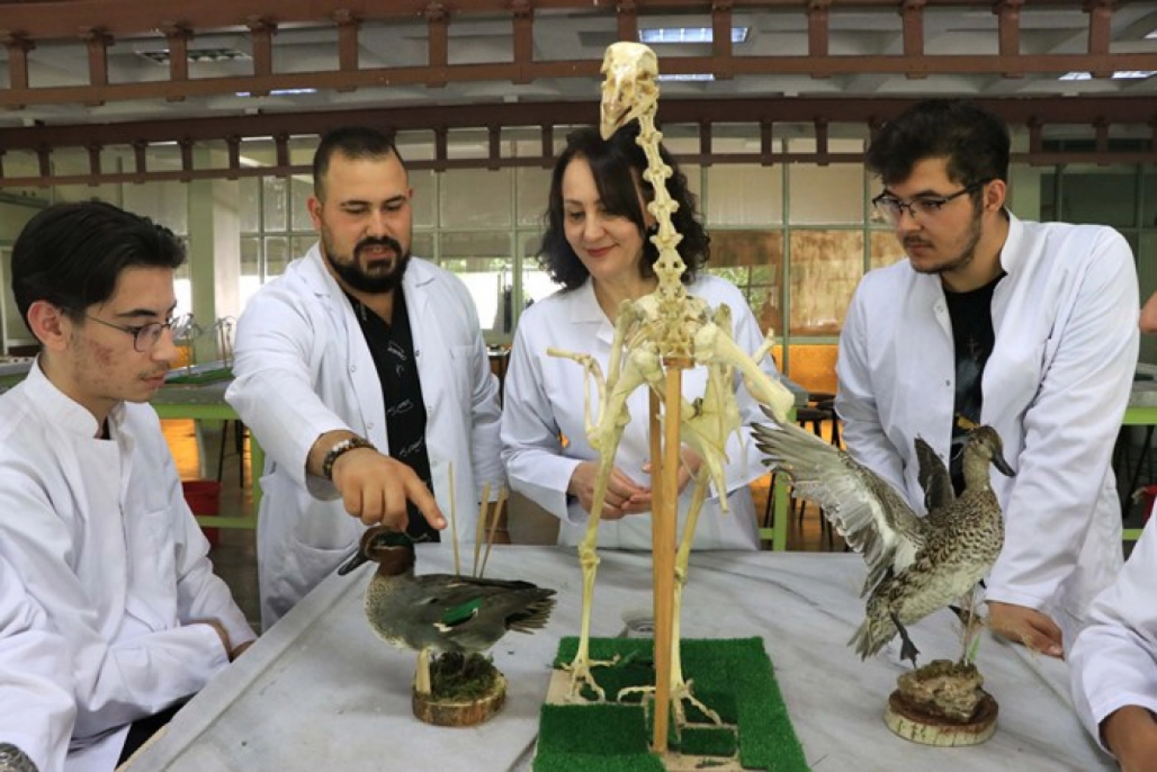 Tarihle Teknoloji Buluştu: Hayvan İskeletleri Yapay Zekâyla Dijitale Taşınıyor