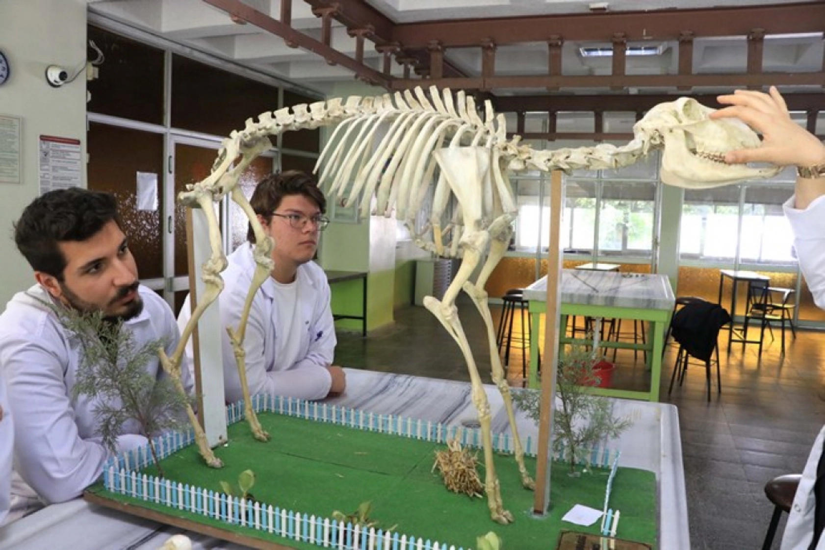 Tarihle Teknoloji Buluştu: Hayvan İskeletleri Yapay Zekâyla Dijitale Taşınıyor