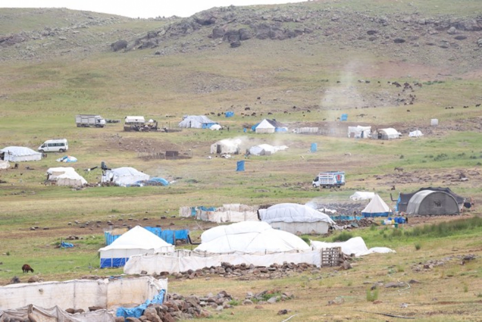 Ağrı'daki 371 yaylaya yerleşen göçer aileler yazı çadırlarda geçiriyor