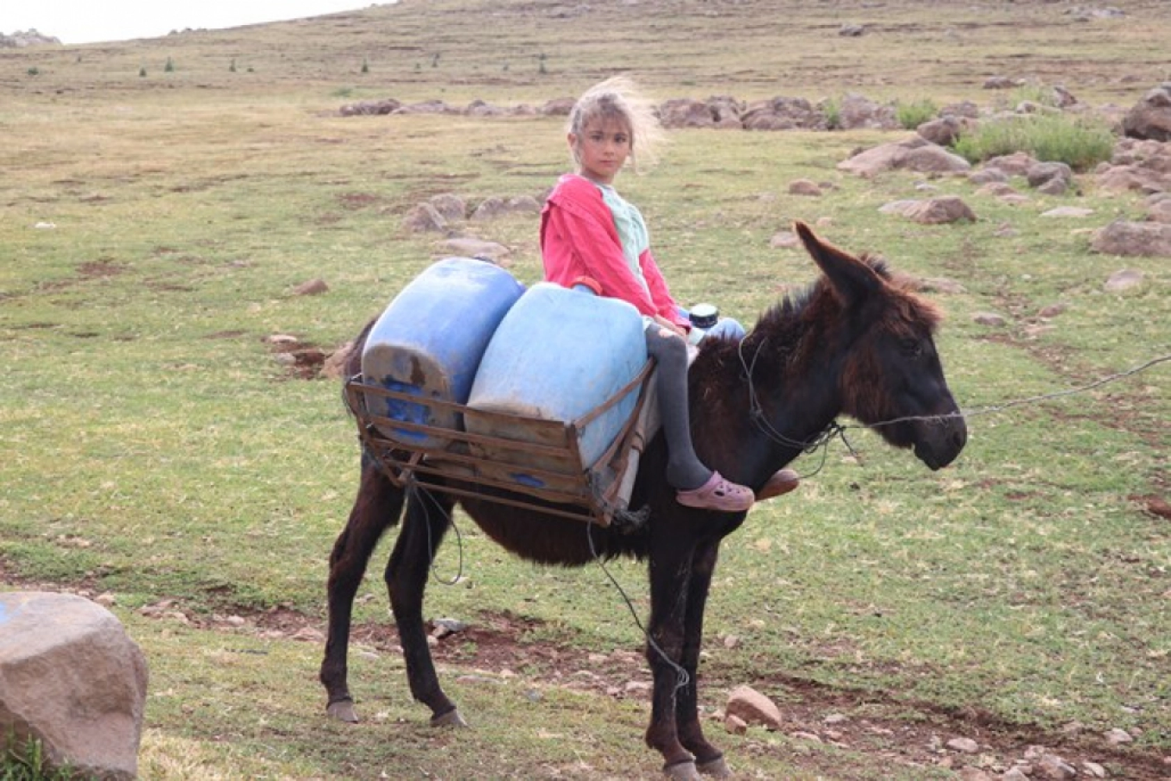Ağrı'daki 371 yaylaya yerleşen göçer aileler yazı çadırlarda geçiriyor