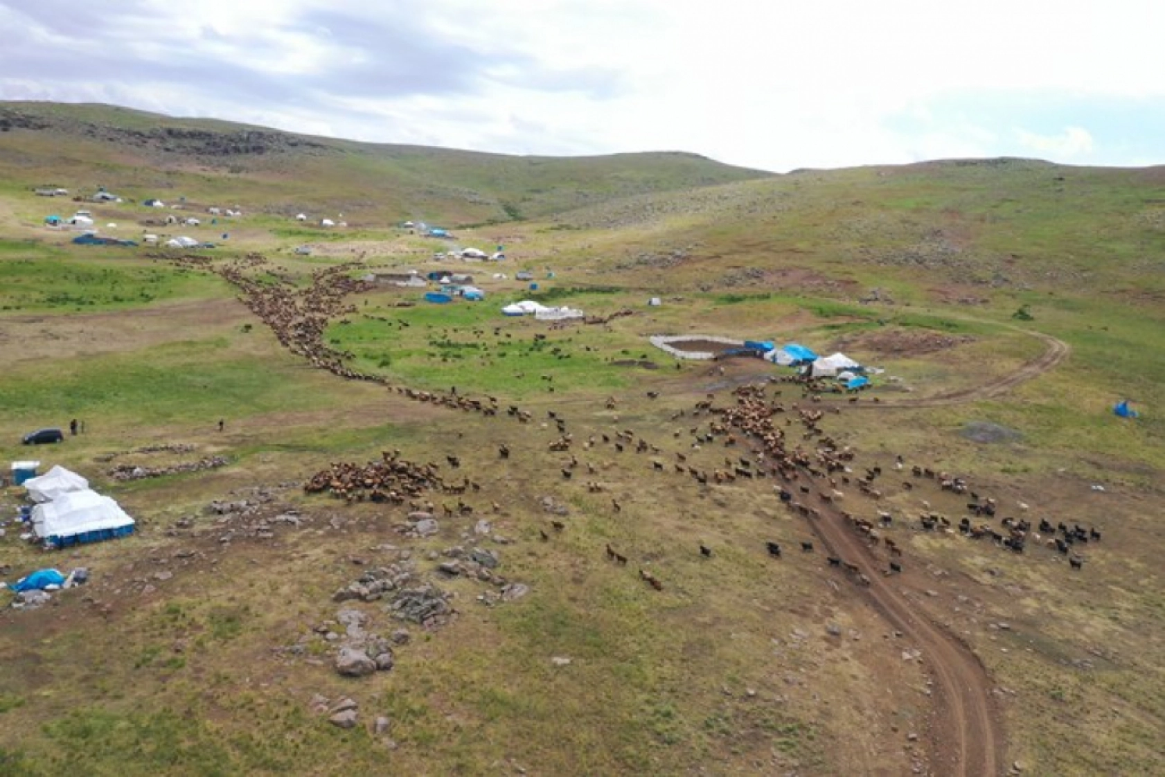 Ağrı'daki 371 yaylaya yerleşen göçer aileler yazı çadırlarda geçiriyor