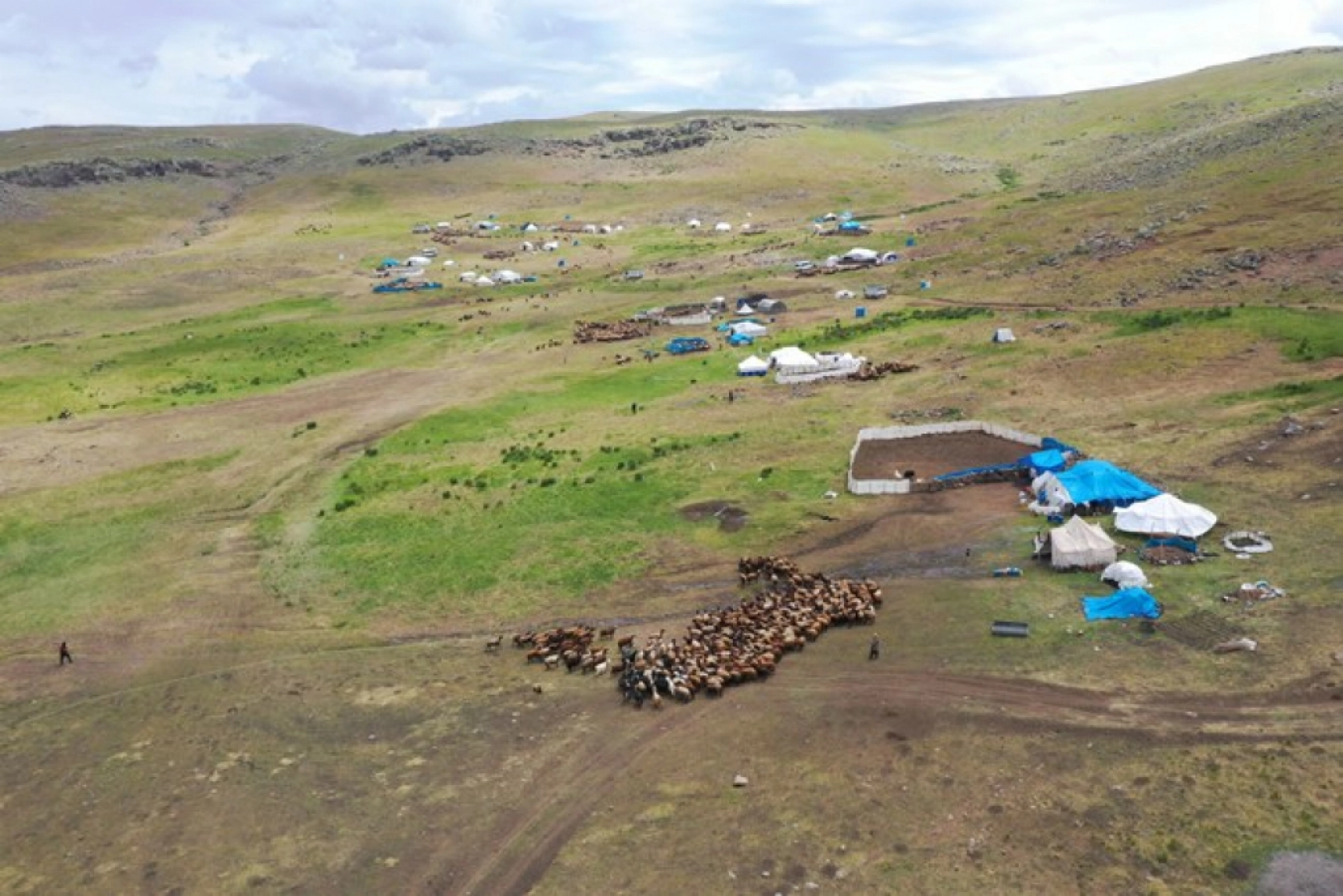 Ağrı'daki 371 yaylaya yerleşen göçer aileler yazı çadırlarda geçiriyor