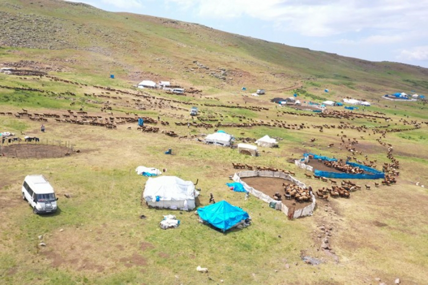 Ağrı'daki 371 yaylaya yerleşen göçer aileler yazı çadırlarda geçiriyor