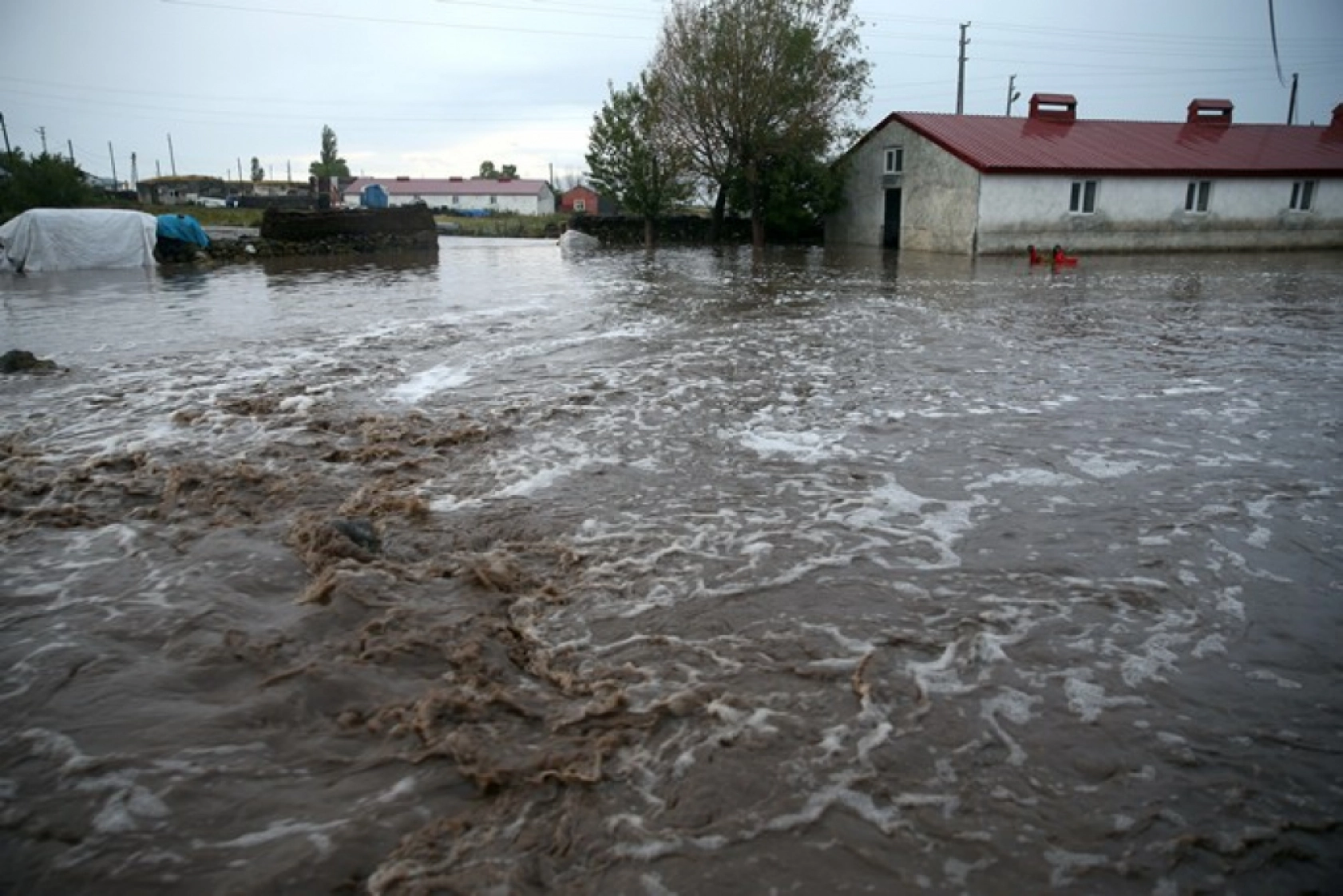 Kars'ta Şiddetli Sağanak Sele Dönüştü: Evler Su Altında