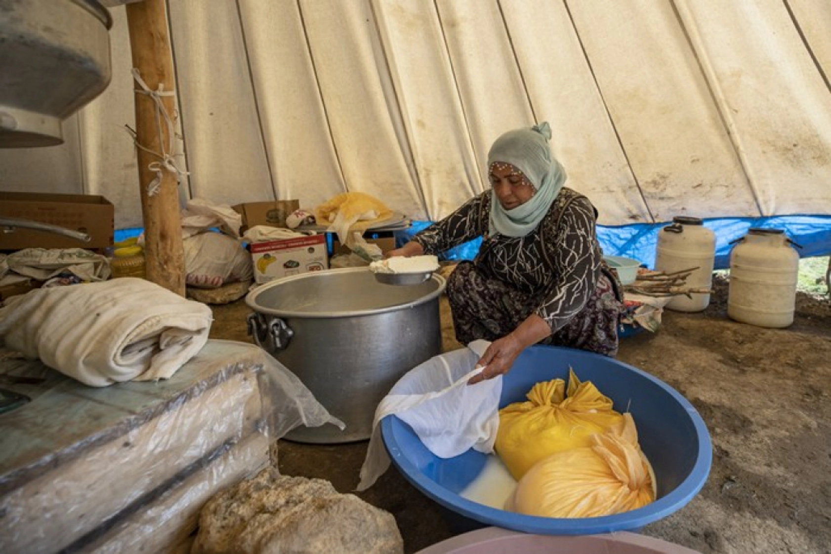 Tunceli Yaylalarında Zorlu Mesai: Göçerler Doğal Peynir Üretimiyle Geçimini Sağlıyor