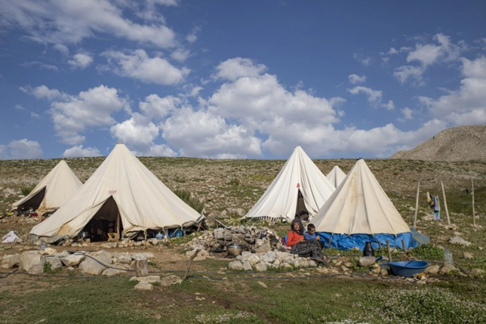 Tunceli Yaylalarında Zorlu Mesai: Göçerler Doğal Peynir Üretimiyle Geçimini Sağlıyor