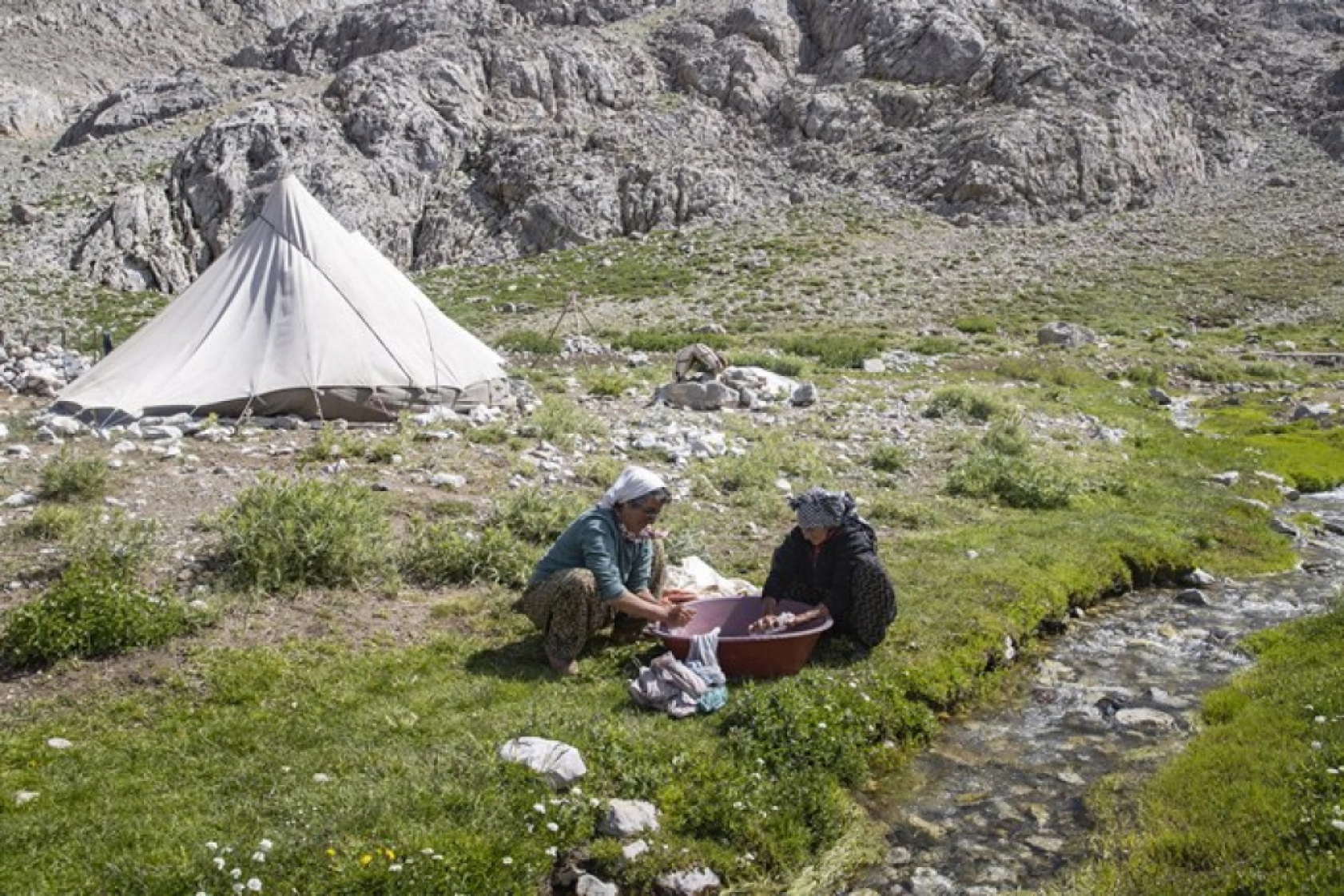 Tunceli Yaylalarında Zorlu Mesai: Göçerler Doğal Peynir Üretimiyle Geçimini Sağlıyor