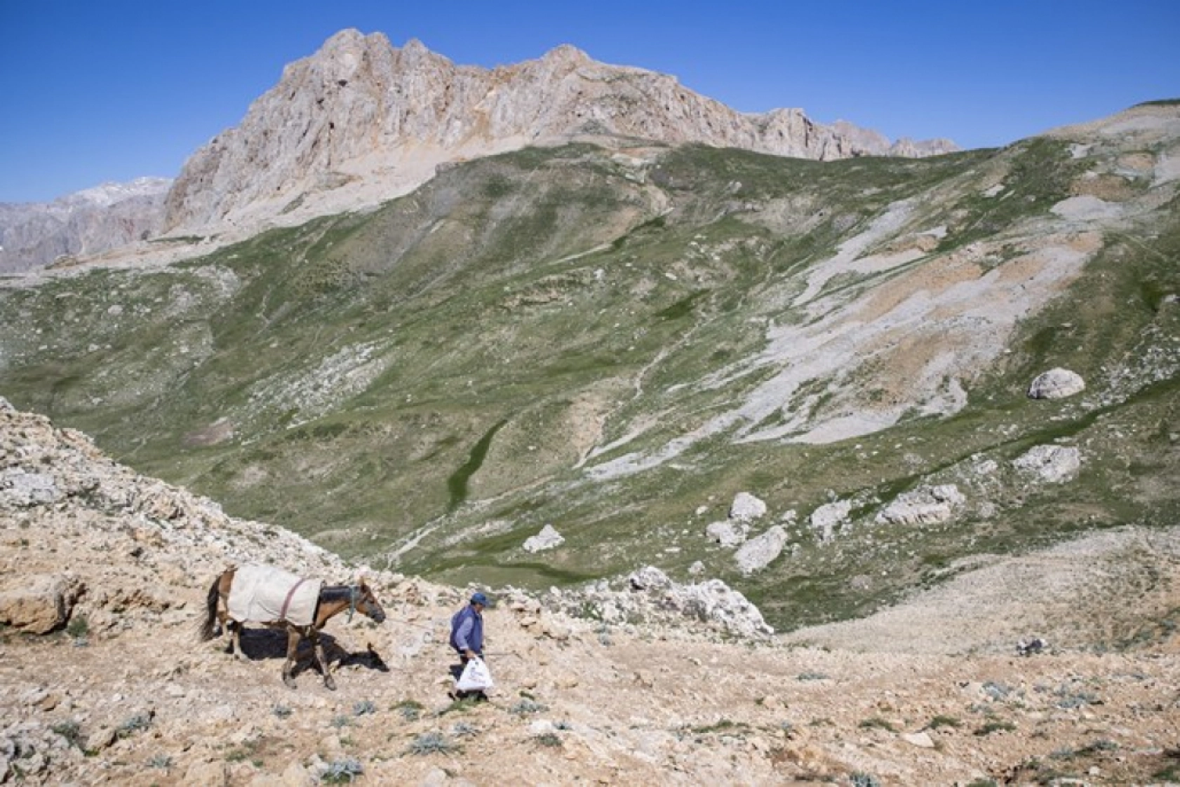 Tunceli Yaylalarında Zorlu Mesai: Göçerler Doğal Peynir Üretimiyle Geçimini Sağlıyor