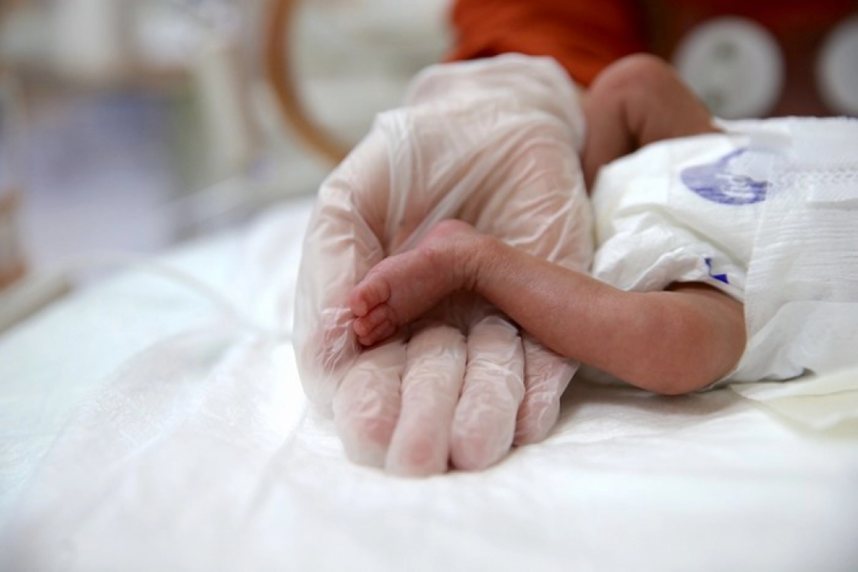 Van'da 'Parmak Bebekler' Hayata Tutunuyor