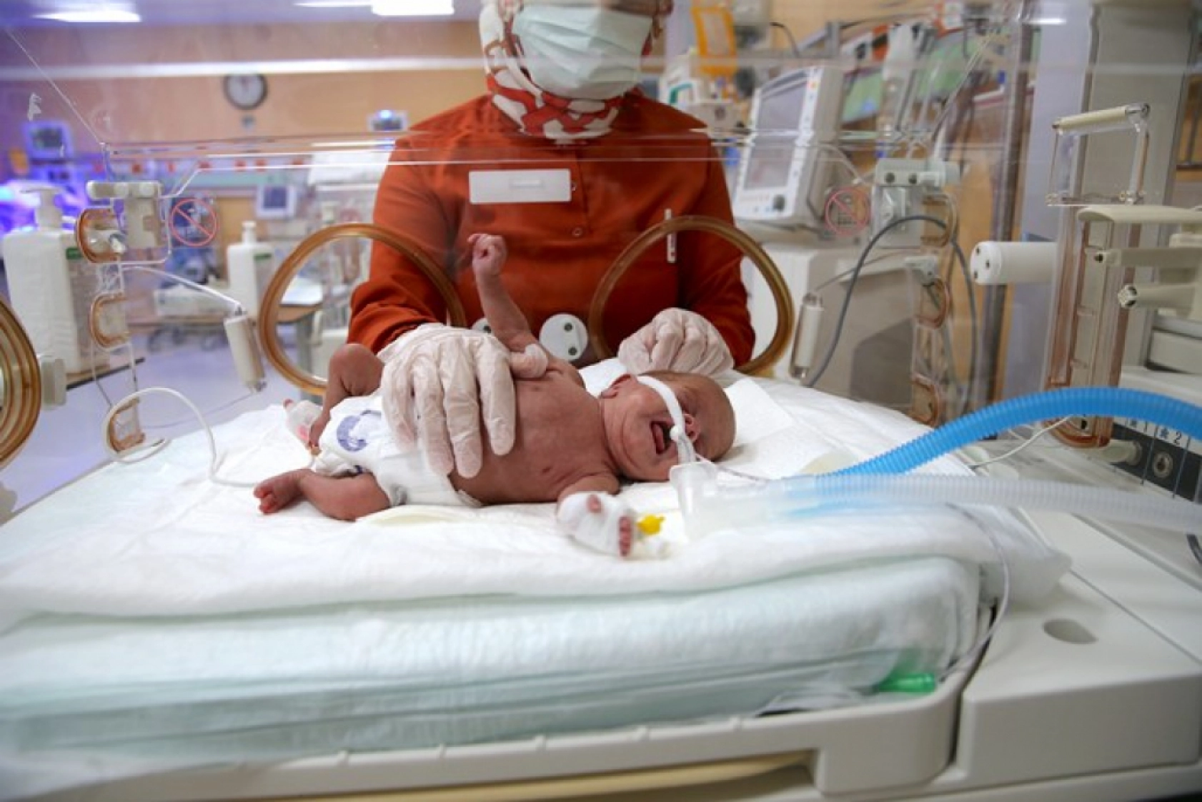 Van'da 'Parmak Bebekler' Hayata Tutunuyor